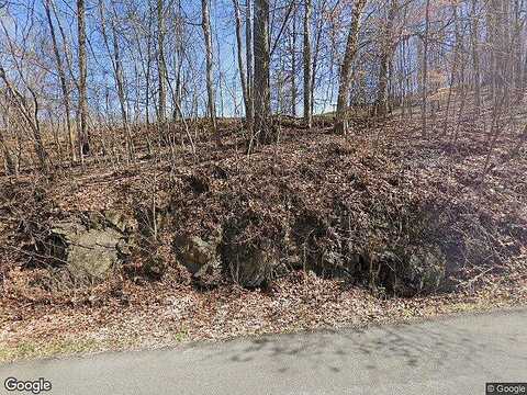 Twin Springs, DUNGANNON, VA 24245