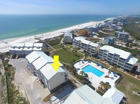 Turtle, PORT SAINT JOE, FL 32456