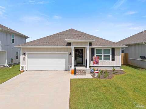 Blacktail, PENSACOLA, FL 32526