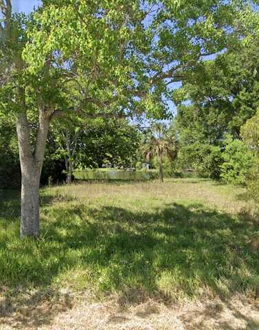 Coral, SAINT AUGUSTINE, FL 32080