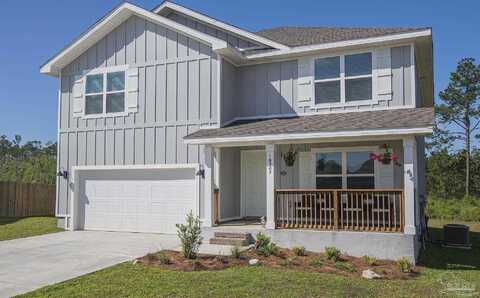 Blacktail, PENSACOLA, FL 32526