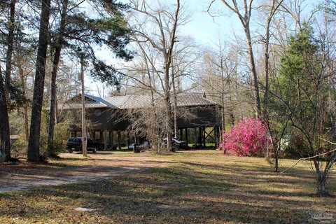 Daffin, MOLINO, FL 32577