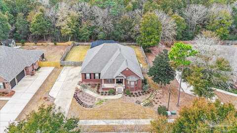 Foxtail, PENSACOLA, FL 32526