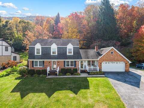 Tanager, BLUEFIELD, VA 24605