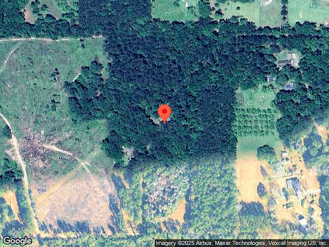 Red Fox, HAVANA, FL 32333