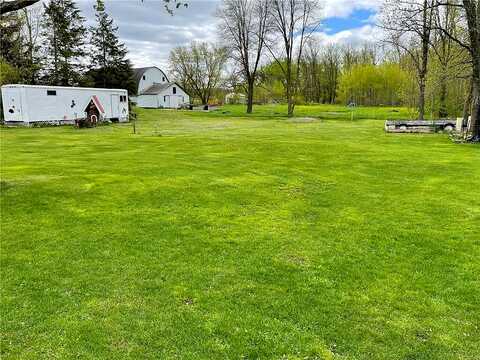 Nature, FOLEY, MN 56329
