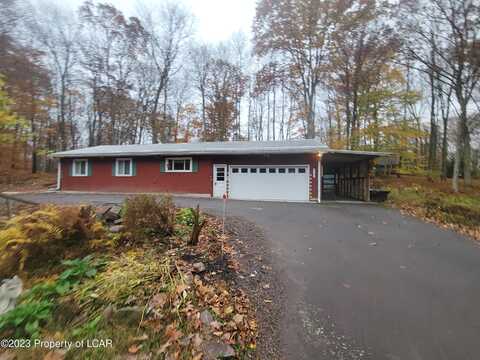 Paper Birch, WHITE HAVEN, PA 18661