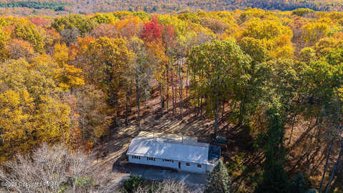 Paper Birch, WHITE HAVEN, PA 18661