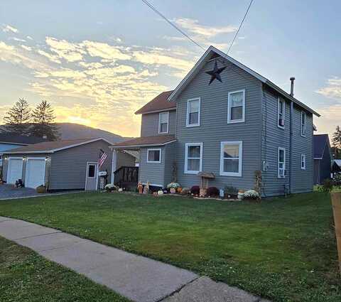 Vine, PORT ALLEGANY, PA 16743