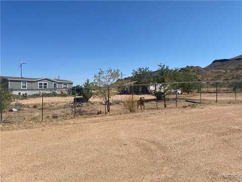 Spinner Bait, KINGMAN, AZ 86409