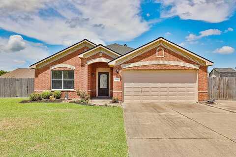 Canvasback, CLUTE, TX 77531