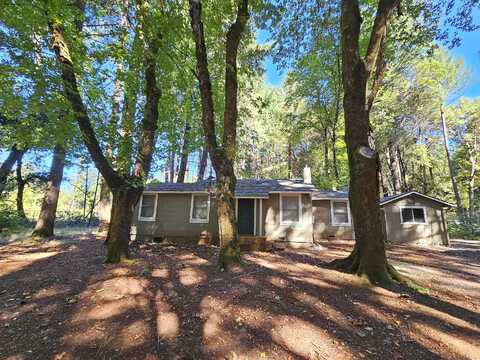 Madrona, CAVE JUNCTION, OR 97523