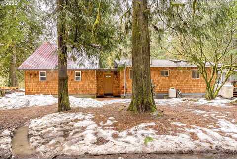 Mcfarland, RHODODENDRON, OR 97049