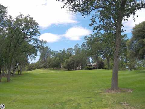 Dyer, GROVELAND, CA 95321