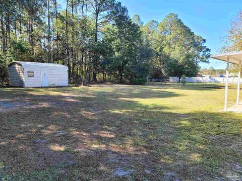 Ginko, PENSACOLA, FL 32506