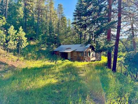 Pine, BEULAH, CO 81023