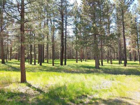 Meadow, SPRAGUE RIVER, OR 97639