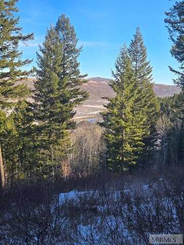 Tbd Long Valley Road, Firth, ID 83236