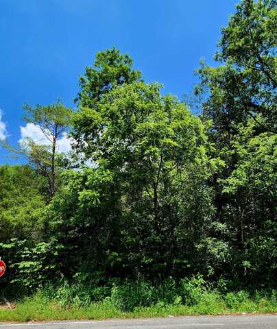 0 Valley Road, Pikeville, TN 37367