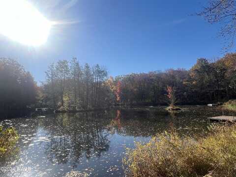 Tupelo, HAWLEY, PA 18428