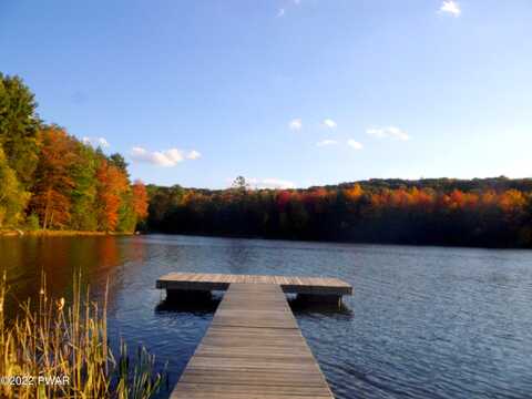 Evergreen, GREENTOWN, PA 18426