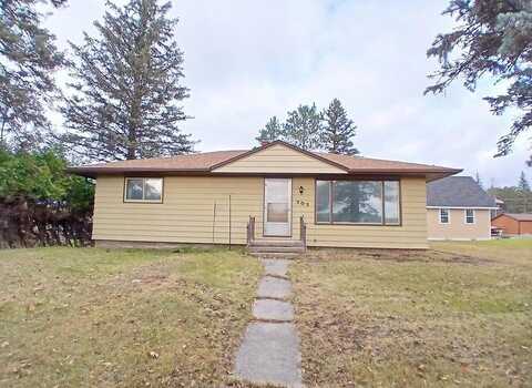 Main, TOWER, MN 55790