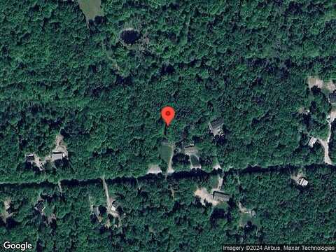 Daffodil, NEWFOUNDLAND, PA 18445