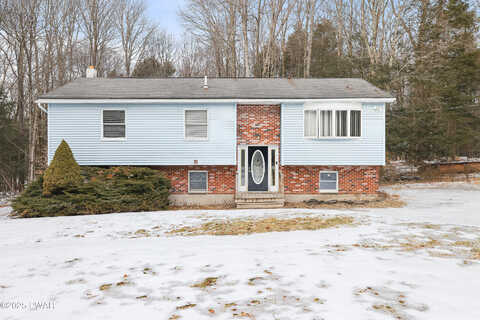 Daffodil, NEWFOUNDLAND, PA 18445