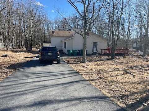 Steele, BUSHKILL, PA 18324