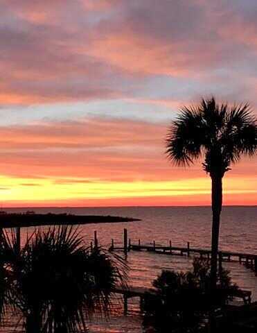Sawyer, EASTPOINT, FL 32328