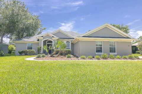 Needle Grass, SAINT AUGUSTINE, FL 32086