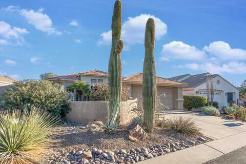Wild Hazel, MARANA, AZ 85658