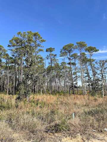 Osprey, PENSACOLA, FL 32507