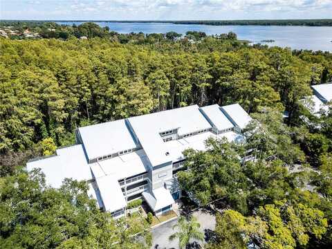 Dolly Bay, PALM HARBOR, FL 34684