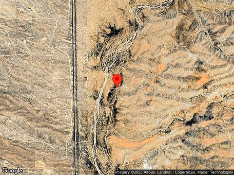 Mountain Lion, KINGMAN, AZ 86401