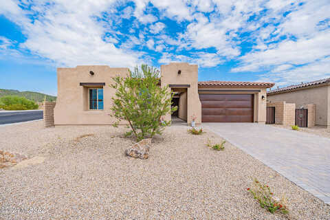 Wild Burro Canyon, MARANA, AZ 85658