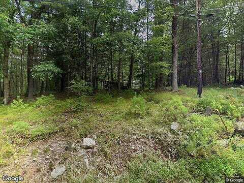 Neil Thompson, LACKAWAXEN, PA 18435