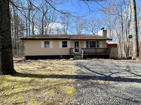 Tulip, GOULDSBORO, PA 18424