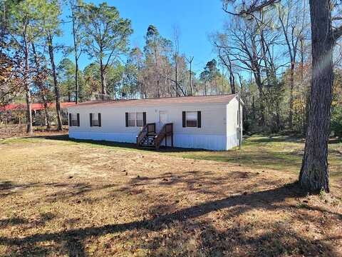 Indigo, LYONS, GA 30436