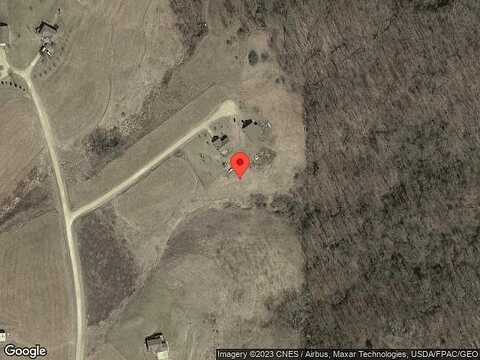 Walnut, VIROQUA, WI 54665