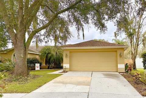 Rothenfeld, LAND O LAKES, FL 34639