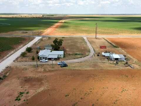 Mallard, ROPESVILLE, TX 79358
