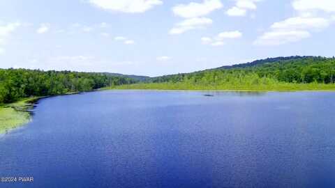 Little Spruce, LAKEWOOD, PA 18439