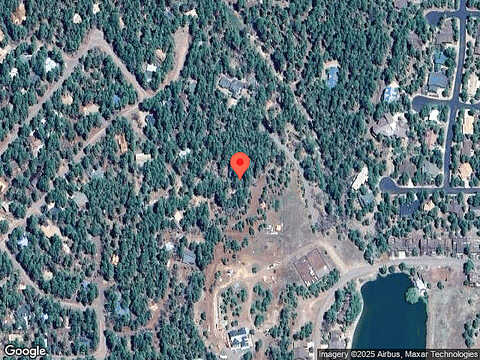 Woodchuck, PINETOP, AZ 85935