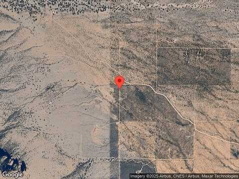 Robin, SAN SIMON, AZ 85632