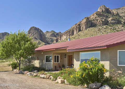 Robin, SAN SIMON, AZ 85632