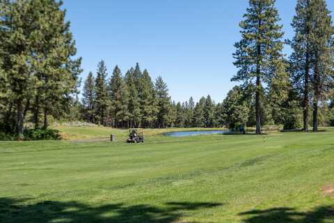 Kangaroo, BEND, OR 97702