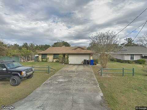 Lobelia, SAINT AUGUSTINE, FL 32086