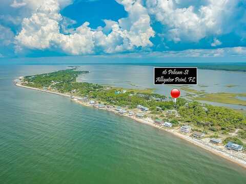 Pelican, PANACEA, FL 32346