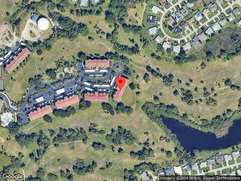 Palm Tree, CAPE CORAL, FL 33904